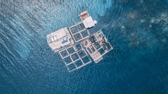 Image of fish farm from the air