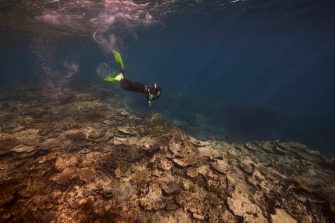 A diver on a reef off Heron Island, Australia