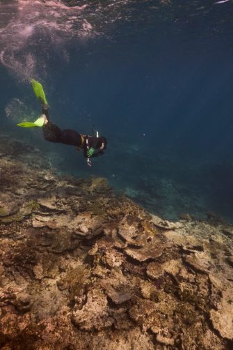 A diver on a reef off Heron Island, Australia