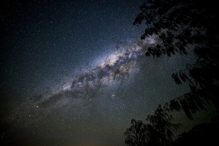 UNSW Heron Island Coral Reefs in a Changing Climate Course