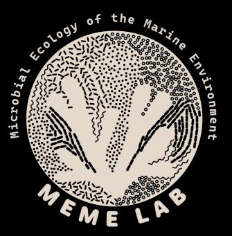 MEME Lab logo