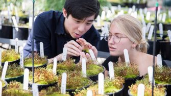 Two students in greenhouse