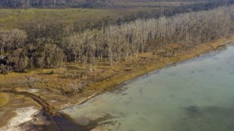 Aerial image of Smiths Lake