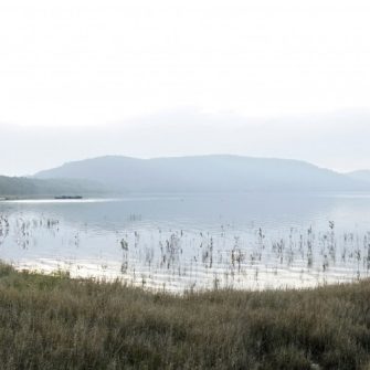 Misty lake with grass in foreground