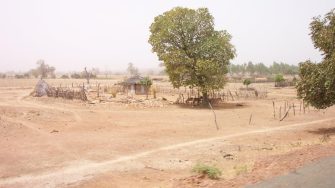 Desertification of land