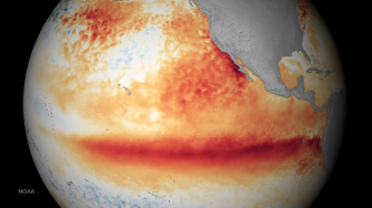 Indo Pacific climate variability