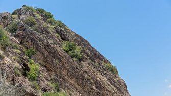 Lava rock covered with vegetation etched against a blue sky