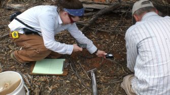 Scientist taking measurements in soil
