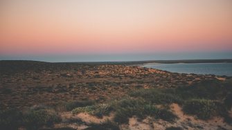 Shark Bay, Western Australia