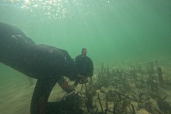 Snorkelling amongst seagrass.