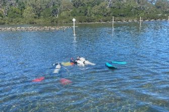 2026-07-seagrass