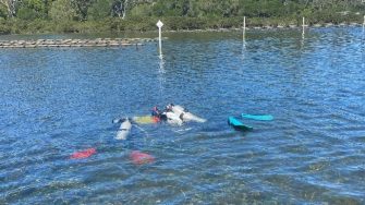 2026-07-seagrass