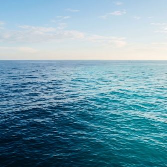 Sea surface extends to the distant horizon
