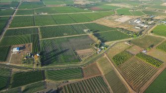 Agricultural farms with neatly planted paddocks