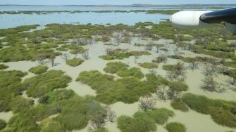 Outback wetland landscape
