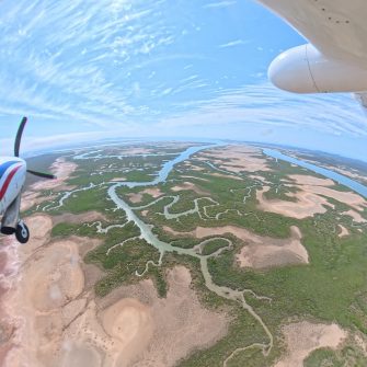 Drainage patterns near the Narrows and Curtis island north of Gladstone, aerial waterbird survey 2025