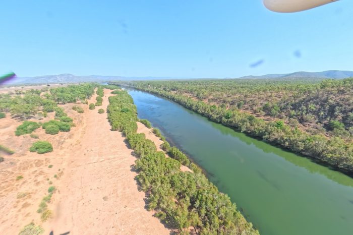 Counting along the Burdekin River, aerial waterbird survey 2025