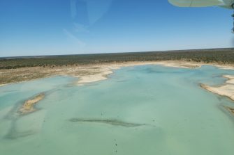 Lake Galilee, aerial waterbird survey 2025