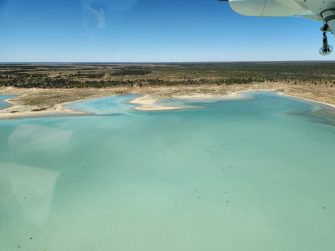 Lake Galilee, aerial waterbird survey 2025