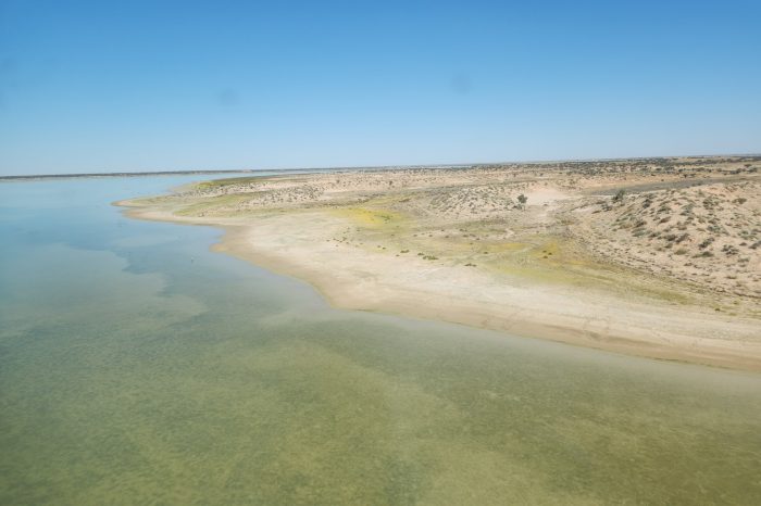 Lake Torquinnie, aerial waterbird survey, 2025