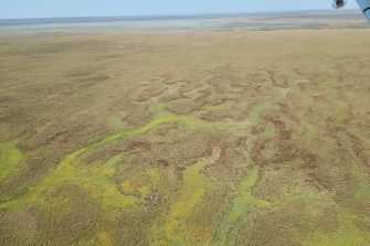 Cooper Creek floodplain patterns