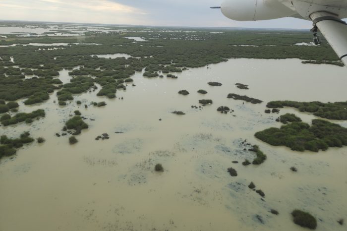 Bulloo Lakes, aerial waterbird survey, 2025
