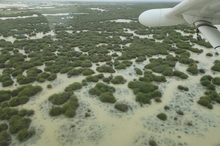 Bulloo Lakes, aerial waterbird survey, 2025