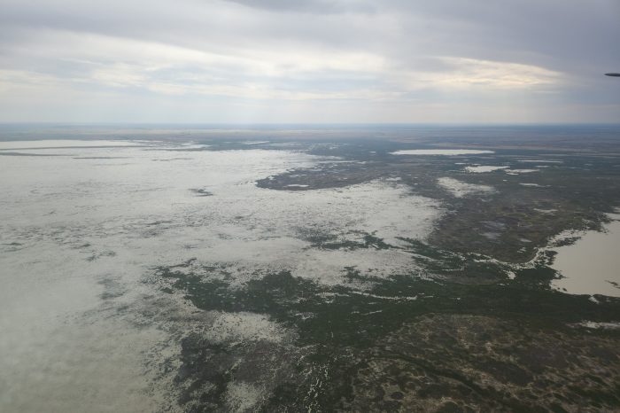 Caryapundy Swamp,  aerial waterbird survey, 2025
