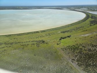 Lake at The Bluff wetland complex,  aerial waterbird survey, 2025