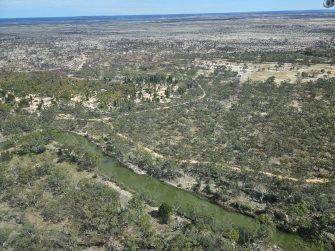 Wimmera River, aerial waterbird survey, 2025