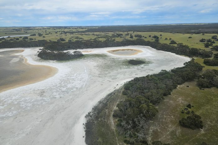 Dry saltwater wetland SA dunes, aerial waterbird survey, 2025