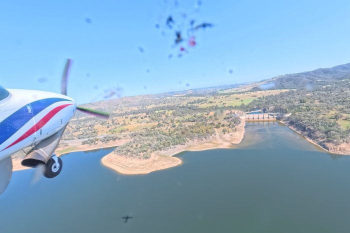 Burrendong Dam aerial waterbird survey, 2025