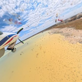 Outback, Tallywalka lakes system aerial waterbird survey, 2025