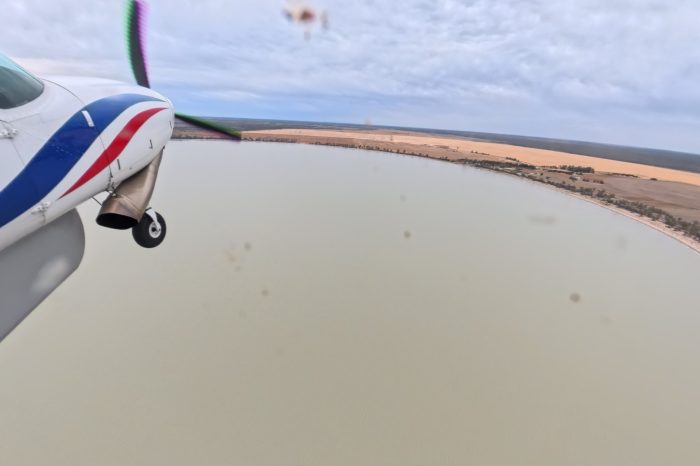 Lake Tala, aerial waterbird survey, 2025