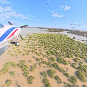 Bijijie Lake, aerial waterbird survey, 2025