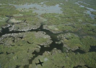 Narran Lake, aerial waterbird survey, 2025