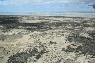 Caryapundy Swamp, aerial waterbird survey, 2025