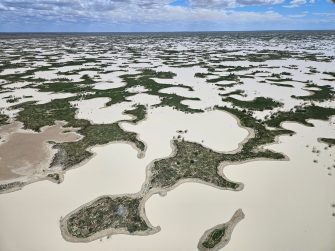 Bulloo Overflow NSW, aerial waterbird survey, 2025