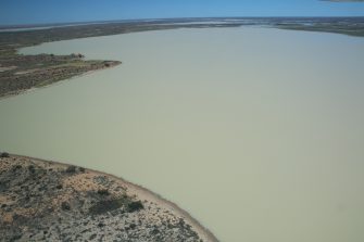 Coongie Lakes Freshwater aerial waterbird survey 2025