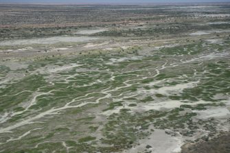 Cooper Creek floodplain drying, aerial waterbird survey 2025