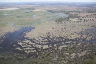 Macquarie Marshes extensive flooding, aerial waterbird survey, 2025