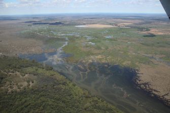 Macquarie Marshes aerial waterbird survey, 2025