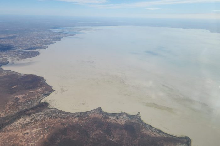 Bulloo overflow, aerial waterbird survey, 2025