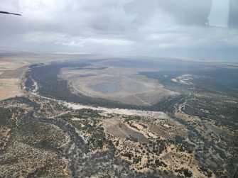 Dry Lake Albacutya, aerial waterbird survey, 2025