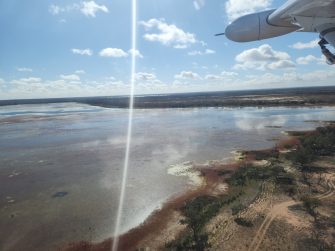 Coombool Swamp, aerial waterbird survey, 2025