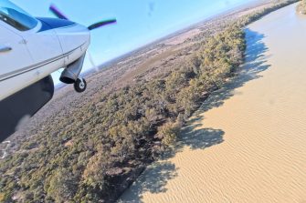 River Murray channel downstream of Mildura, aerial waterbird survey, 2025