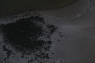 Coorong, tern rookery, aerial waterbird survey, 2025