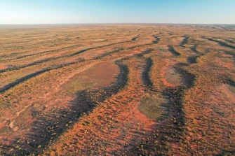 sand dunes  Wild Deserts Header image May25