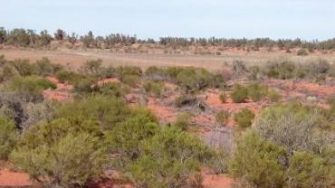 outback Australia