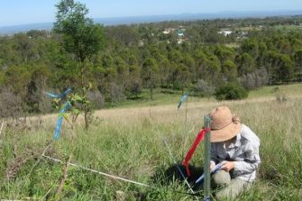 female scientist logging data in the field outdoors with boundary lines setup